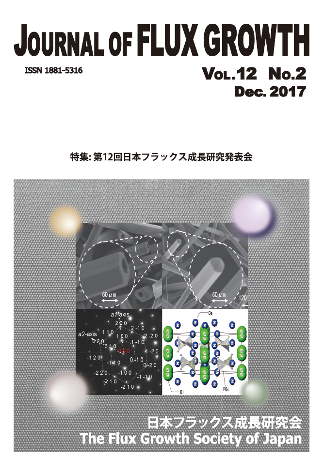 JOURNAL OF FLUX GROWTH Vol.12 No.2